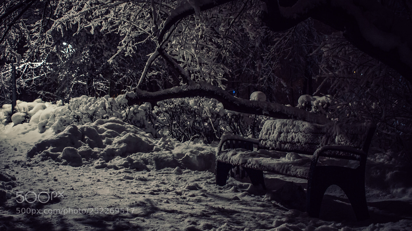 Canon EOS 7D sample photo. Snow in sokolniki photography