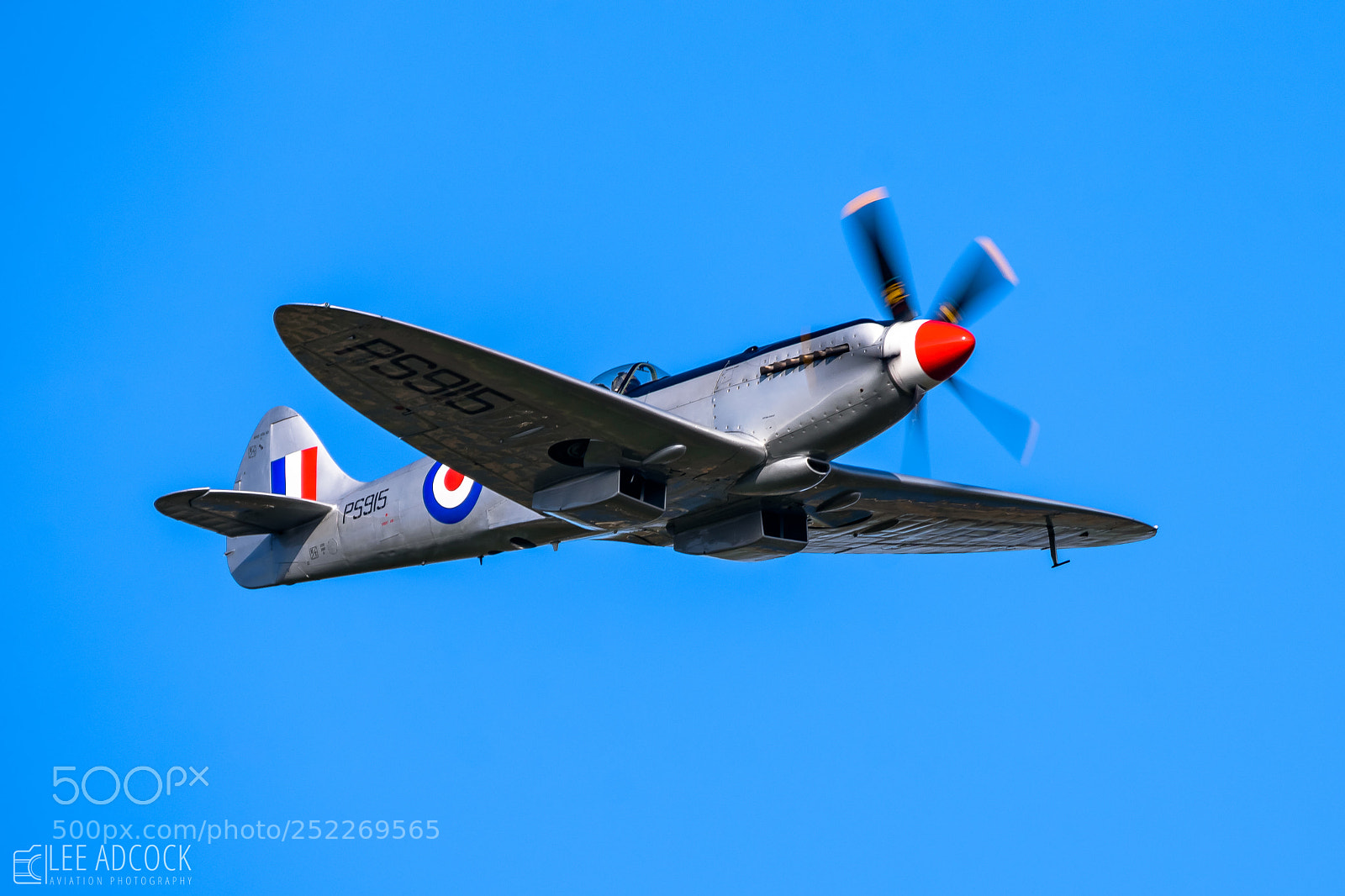 Nikon D7200 sample photo. Silver spitfire photography