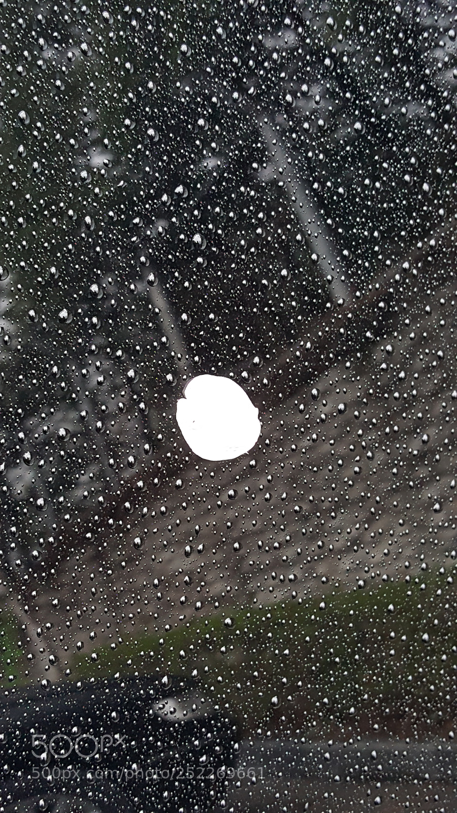 Samsung Galaxy Note5 sample photo. A petal of cherry photography
