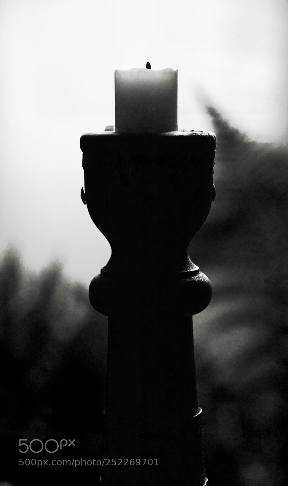 Nikon D7100 sample photo. Backlight n2147.1.1.32 photography