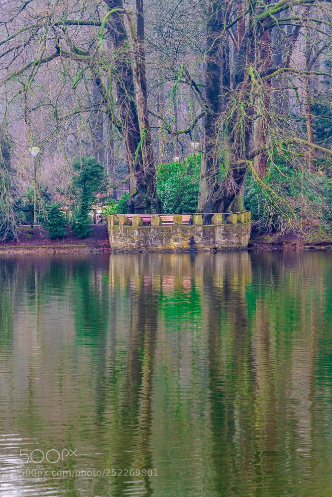 Canon EOS 700D (EOS Rebel T5i / EOS Kiss X7i) sample photo. Rombergpark  photography