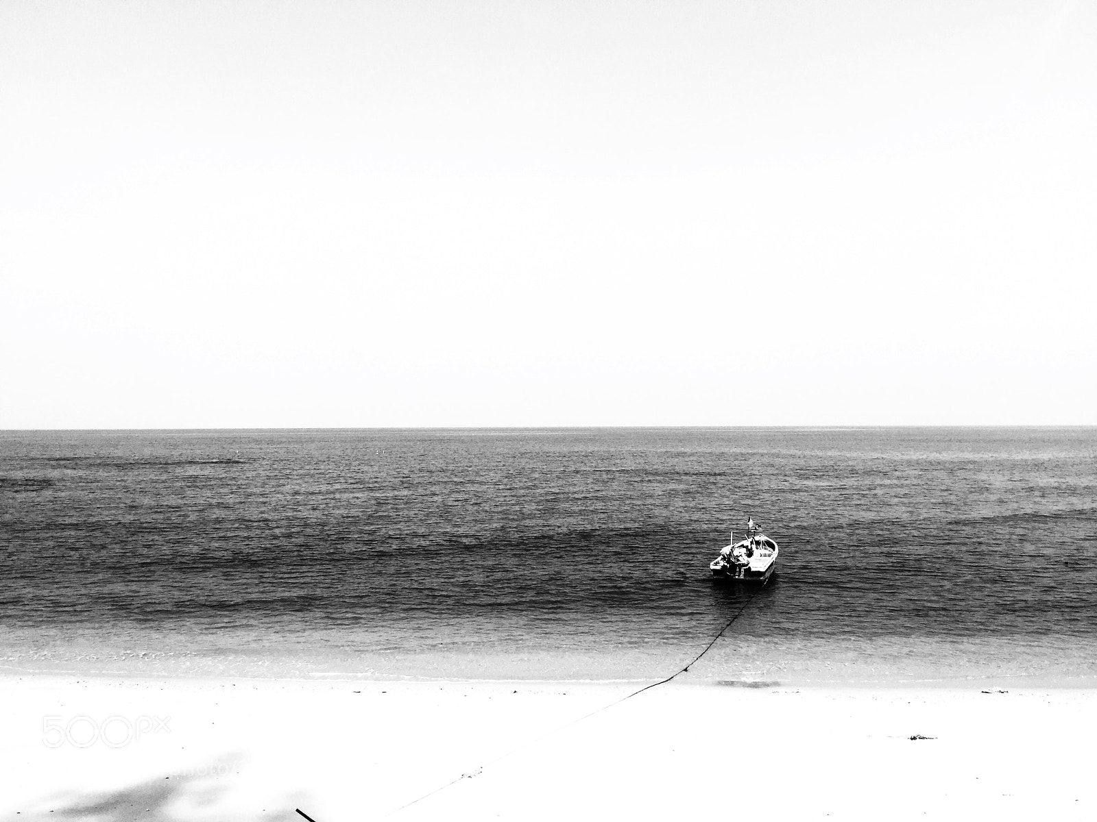 Apple iPhone 6 Plus sample photo. Untitled photography