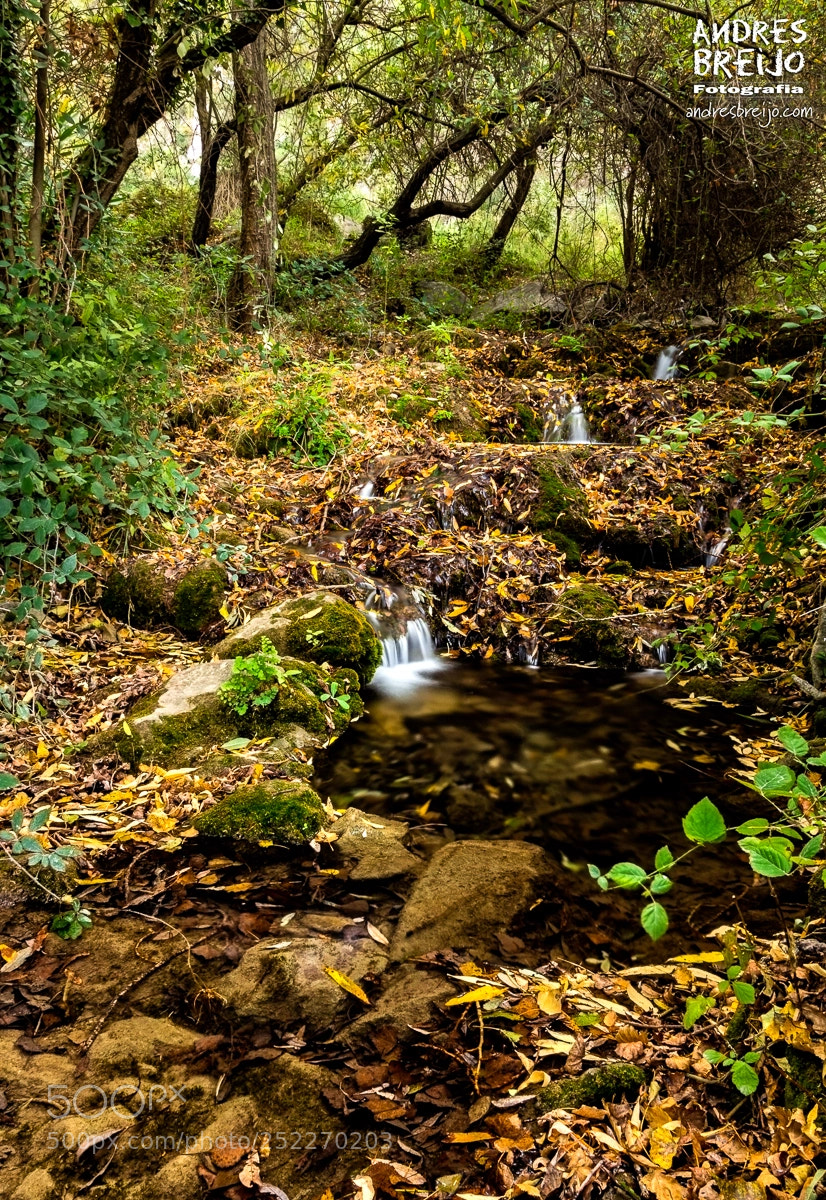 Canon EOS 60D sample photo. Por donde circula el photography