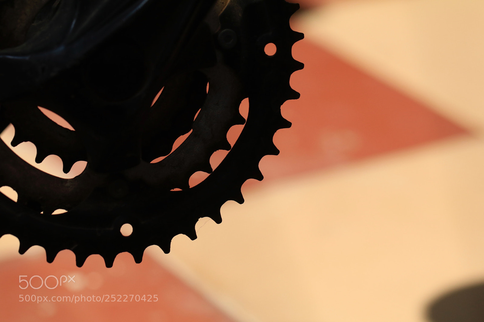 Canon EOS 80D sample photo. Bicycle mechanics  photography