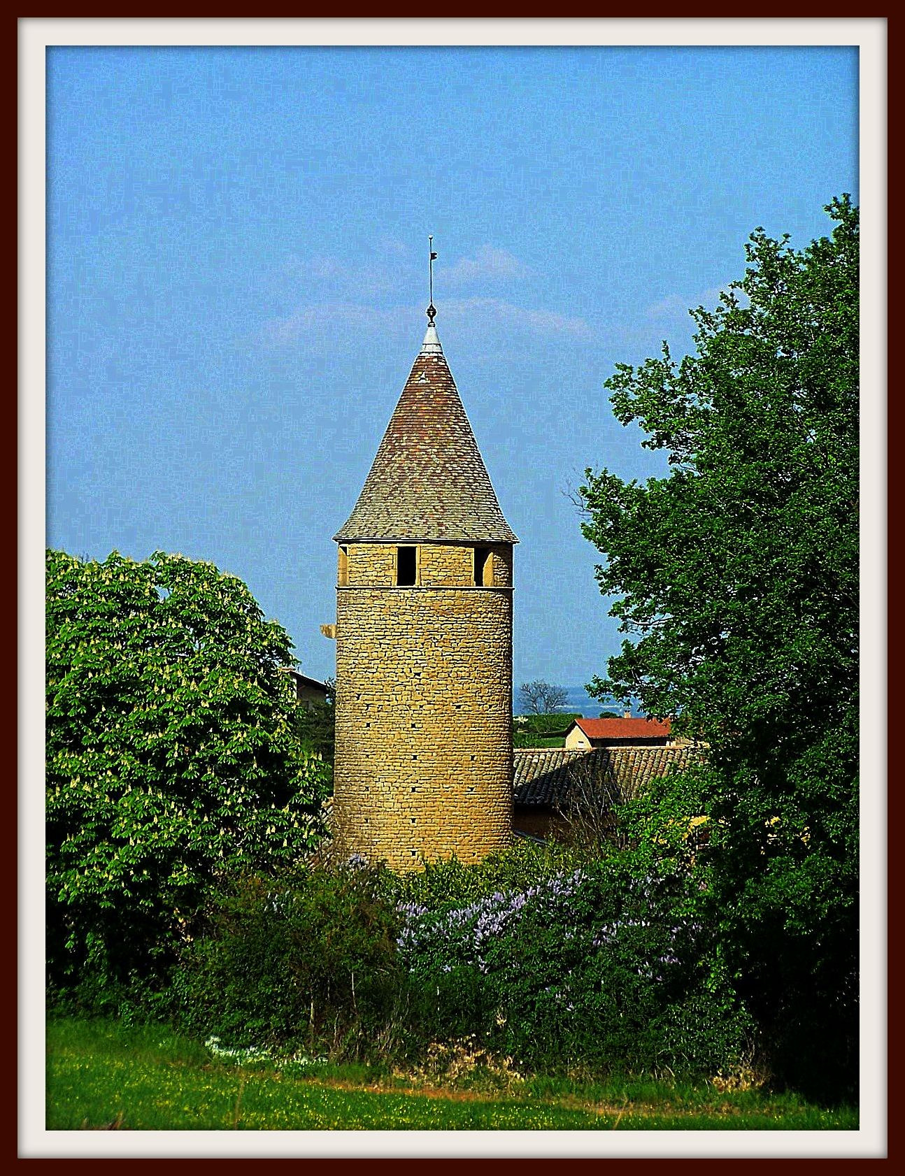 Kodak Z740 ZOOM DIGITAL CAMERA sample photo. Beaujolais () france photography