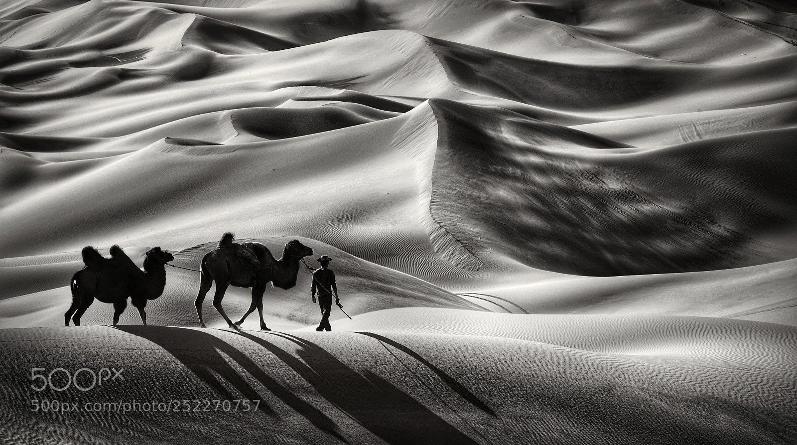 Nikon D800 sample photo. Xinjiang china photography