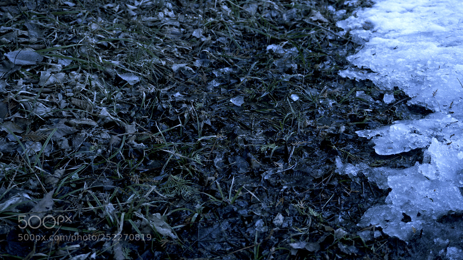 Sony a6300 sample photo. Be born photography