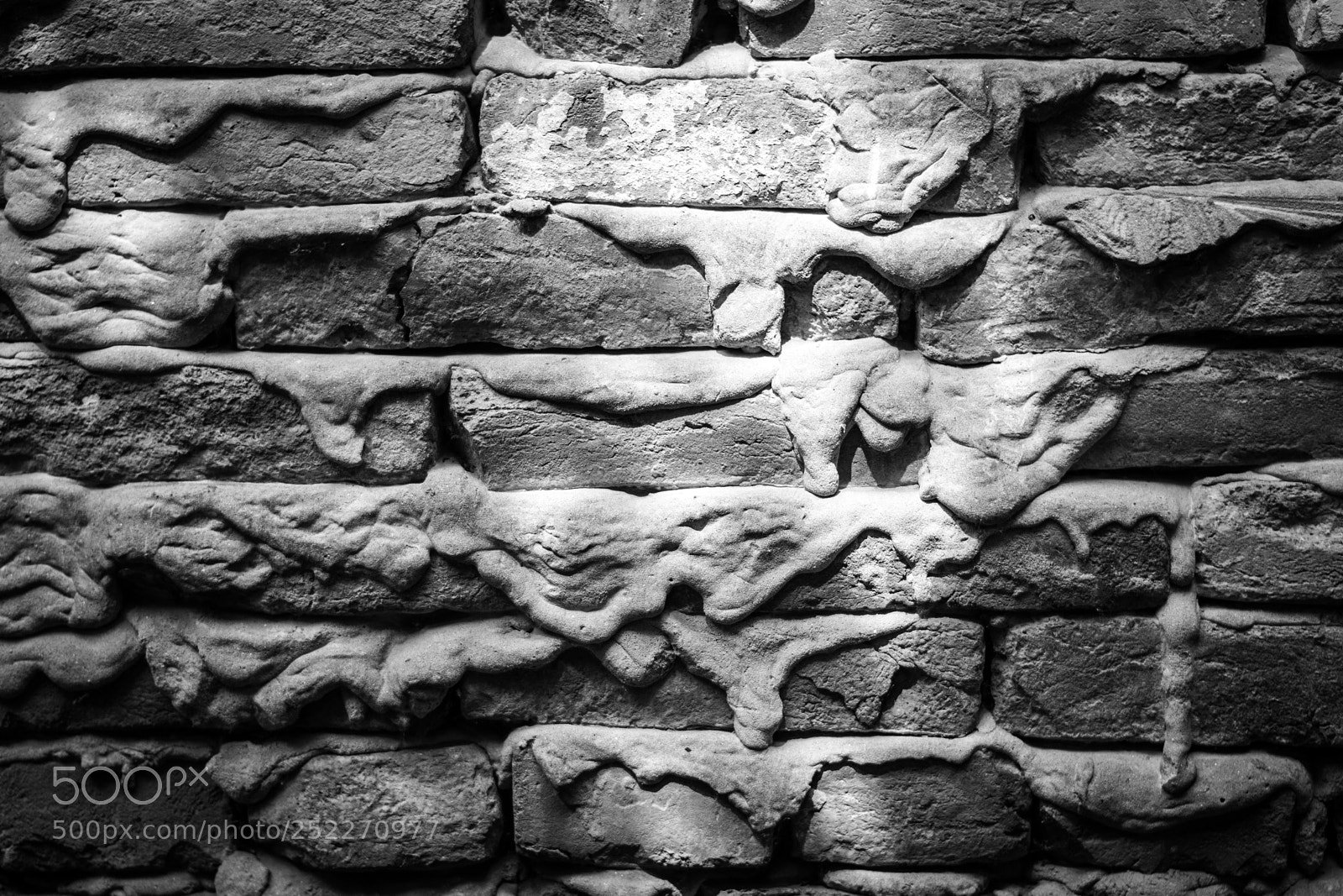 Nikon D5300 sample photo. Texture photography