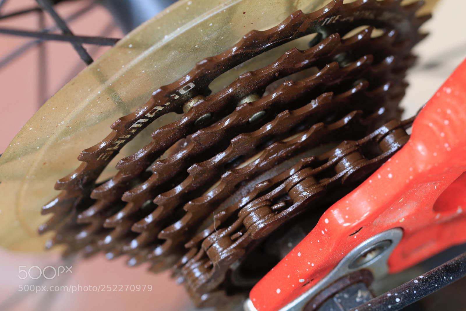 Canon EOS 80D sample photo. Bicycle mechanics photography