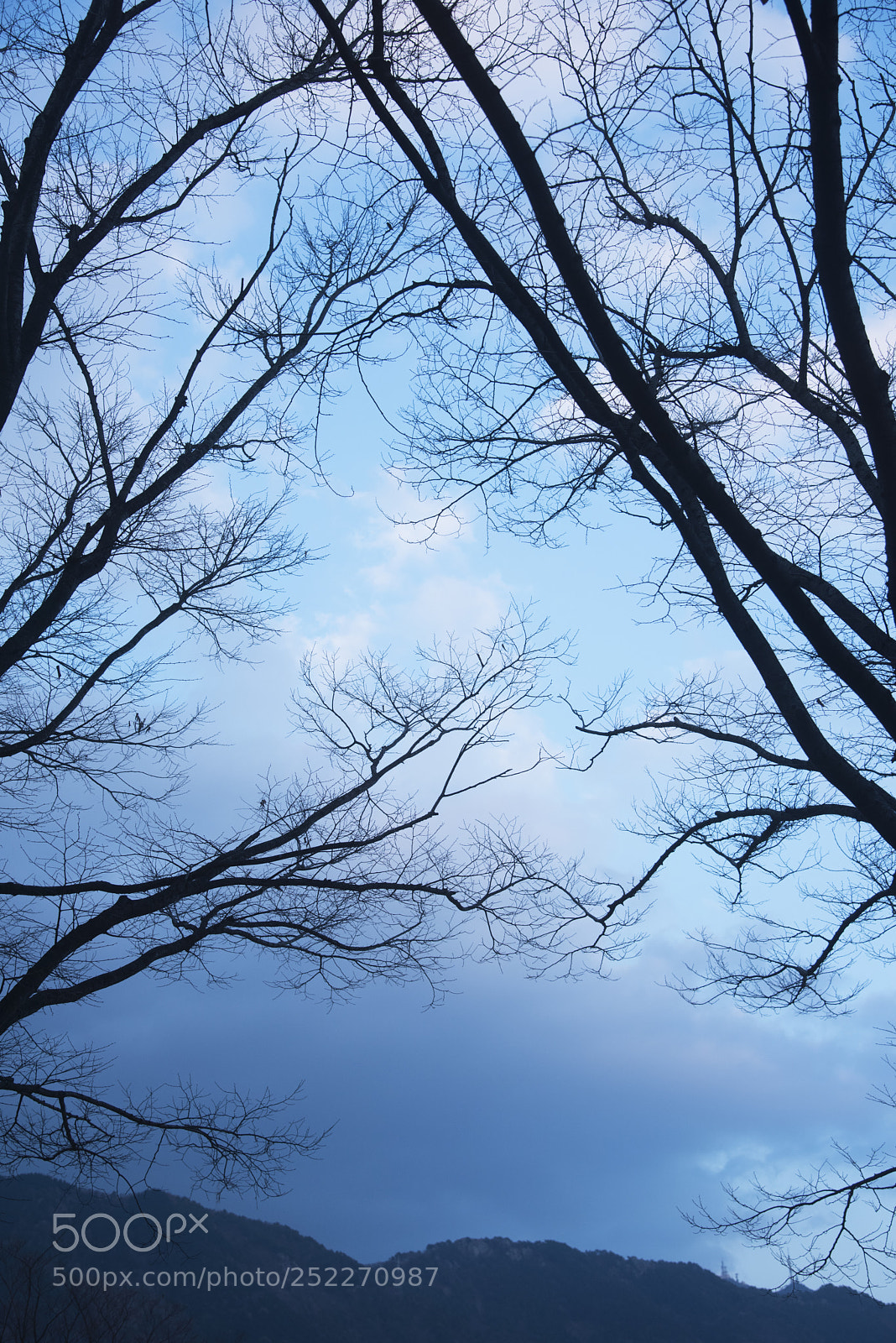 Nikon D810 sample photo. Lookup photography