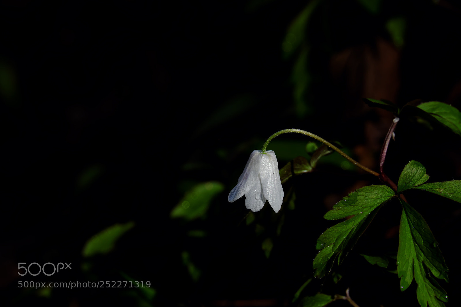 Fujifilm X-T10 sample photo. Untitled photography