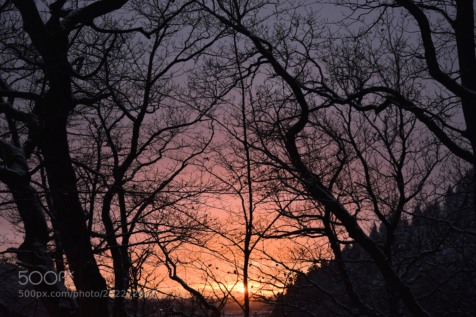 Nikon D3300 sample photo. Glühender winter photography