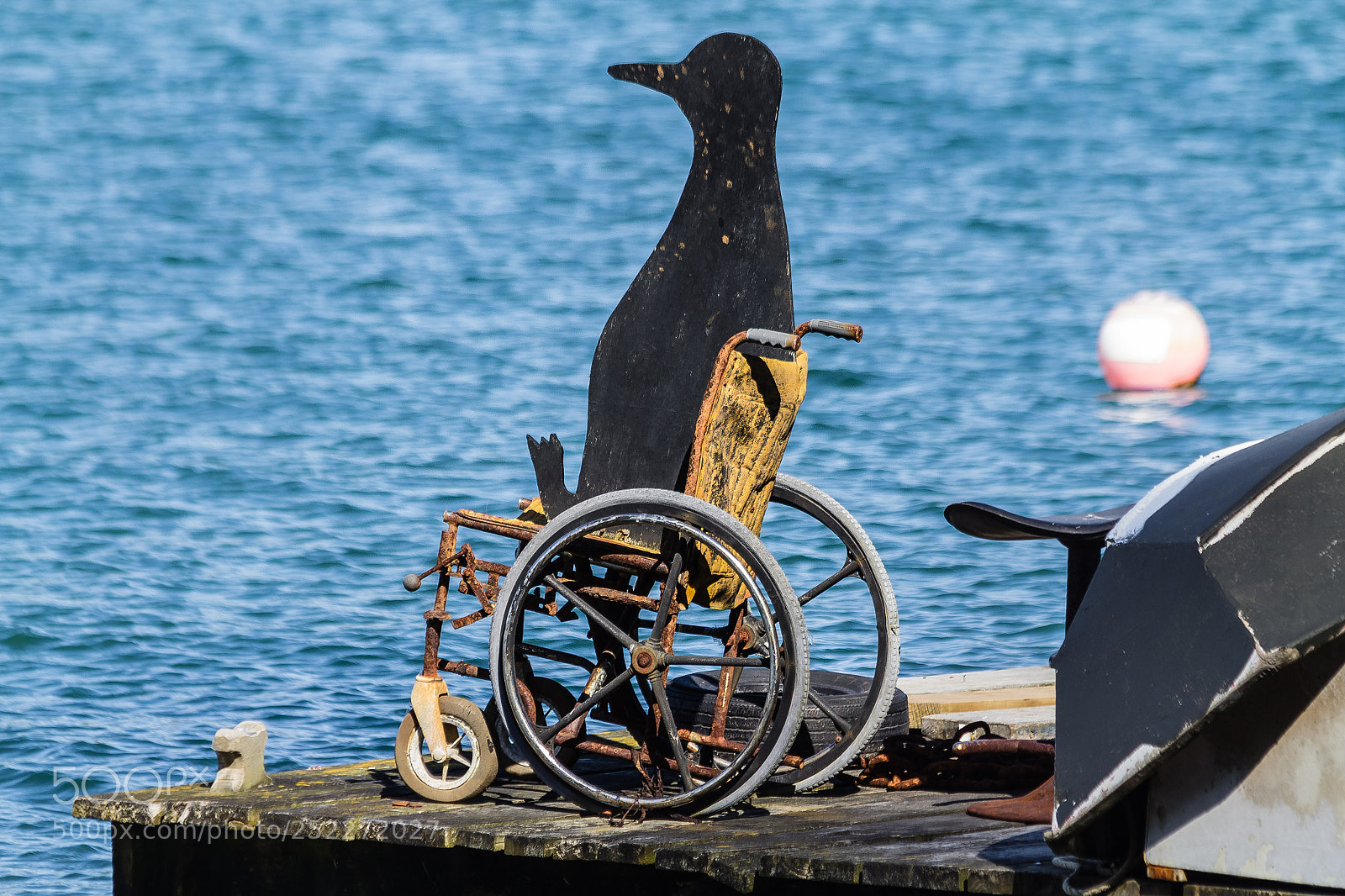 Canon EOS 60D sample photo. Penguin in wheelchair photography