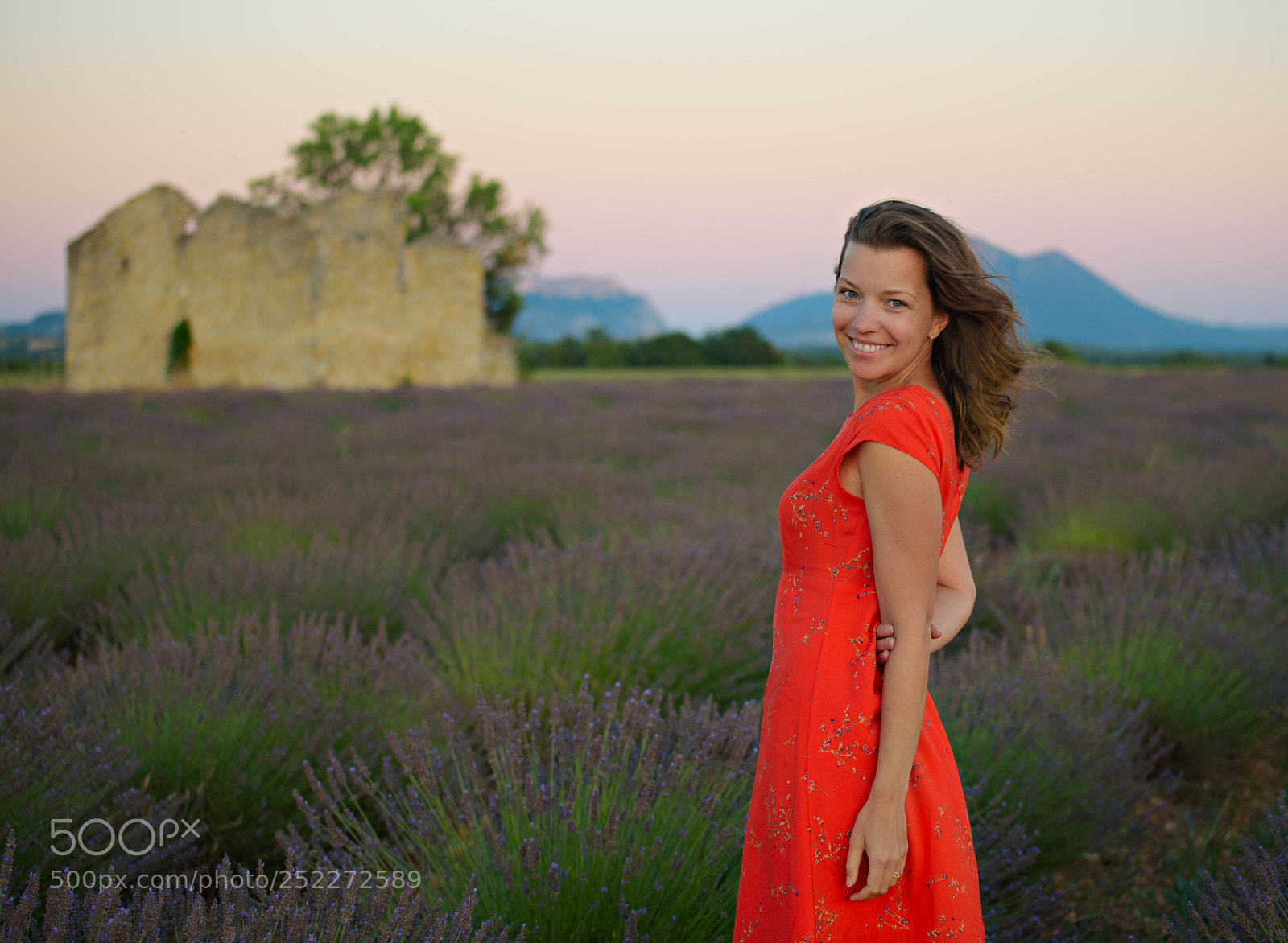 Nikon D750 sample photo. Woman in the lavender photography