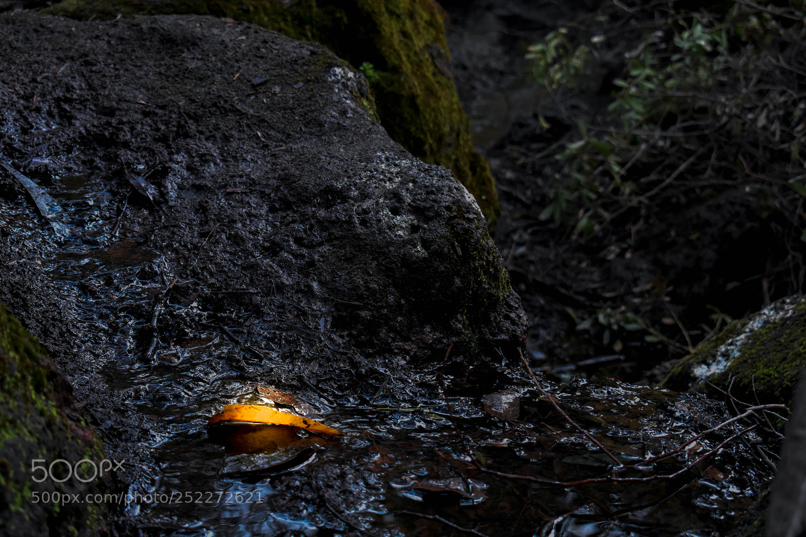 Nikon D3400 sample photo. Leafinmud lightroom photography