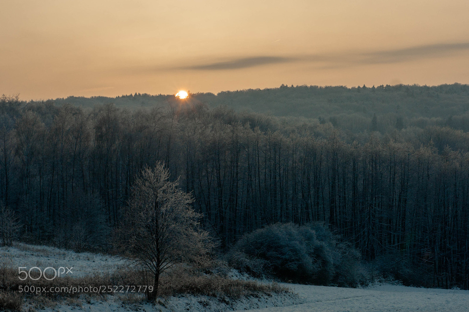 Sony Alpha DSLR-A390 sample photo. Sunset photography
