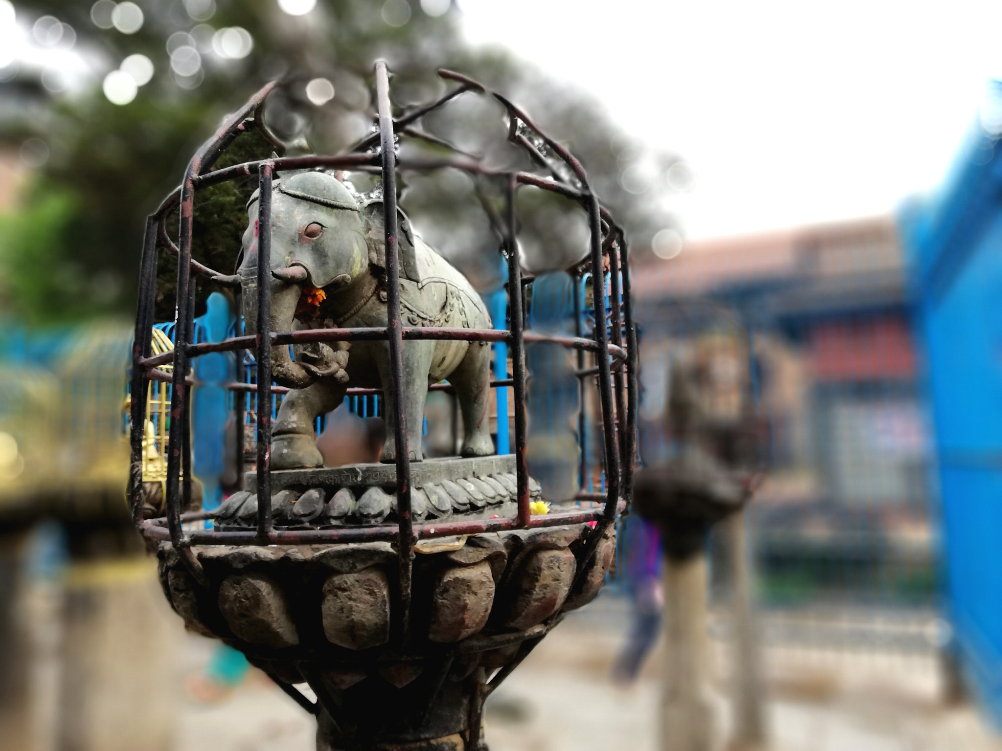 HUAWEI nova 2i sample photo
