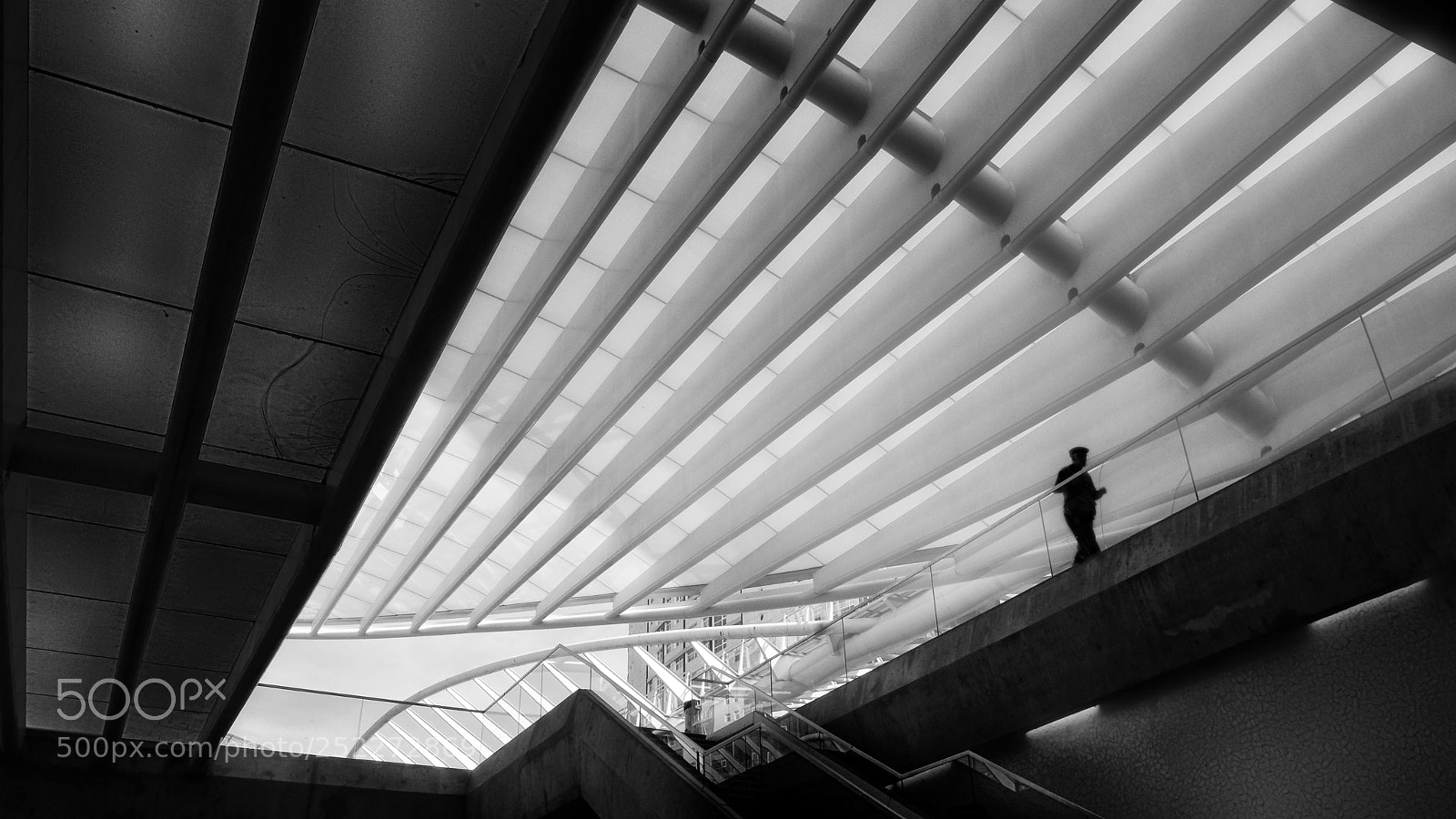 Fujifilm X-T20 sample photo. We might be dead photography