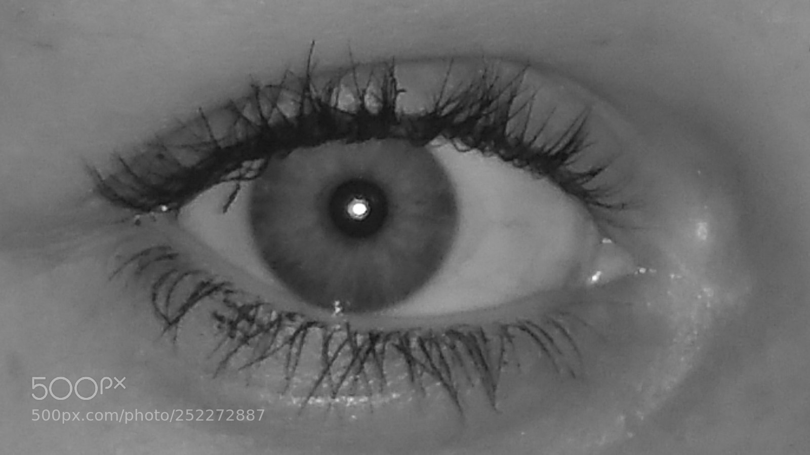 Samsung Galaxy Note4 sample photo. Eye see you photography