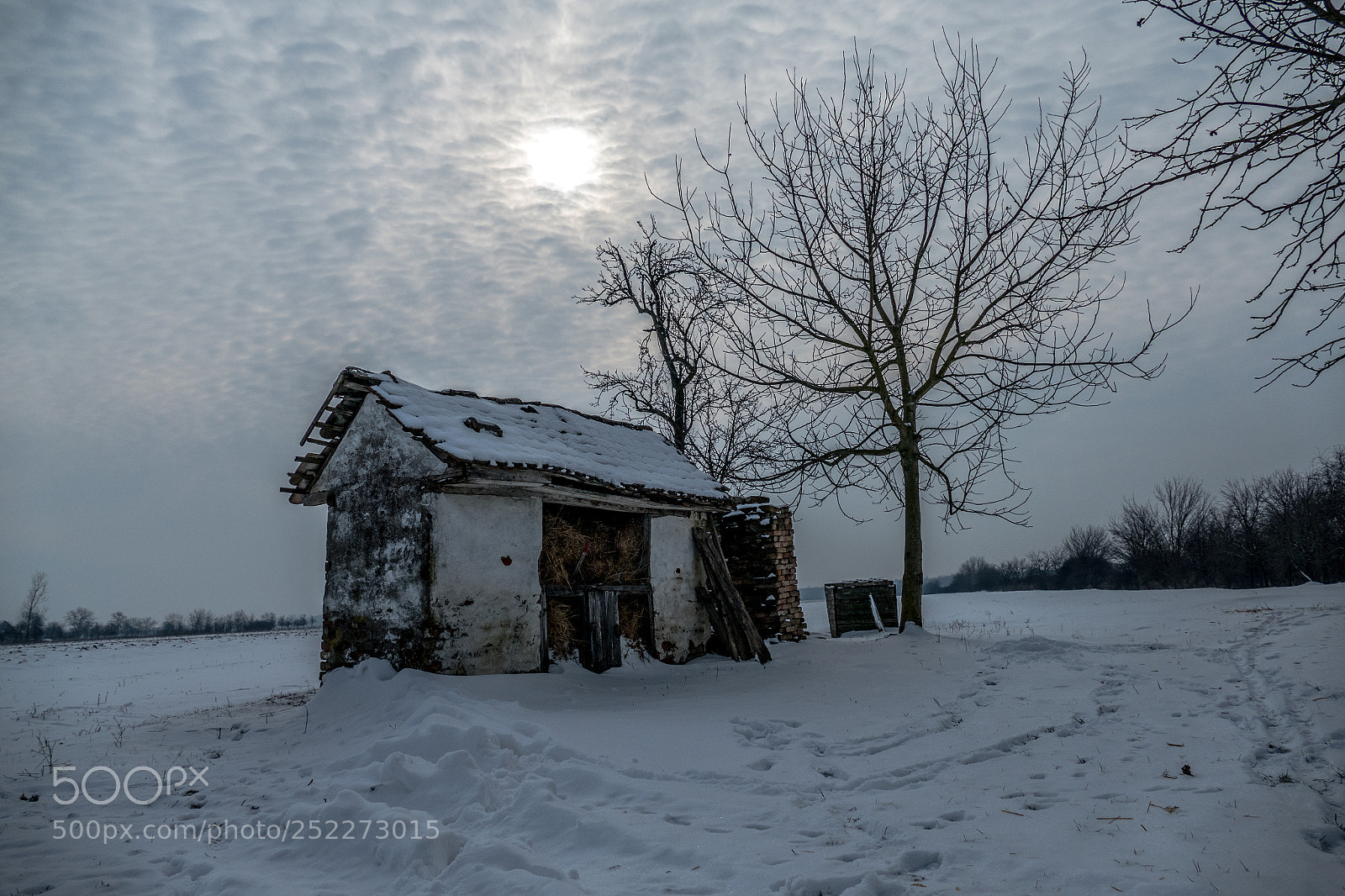 Panasonic Lumix DMC-FZ1000 sample photo. The last snow photography