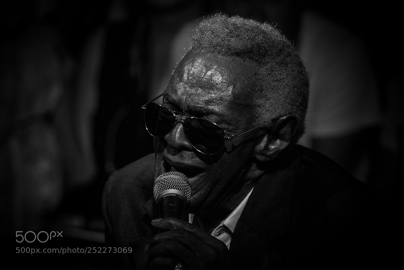 Nikon D80 sample photo. The singer photography