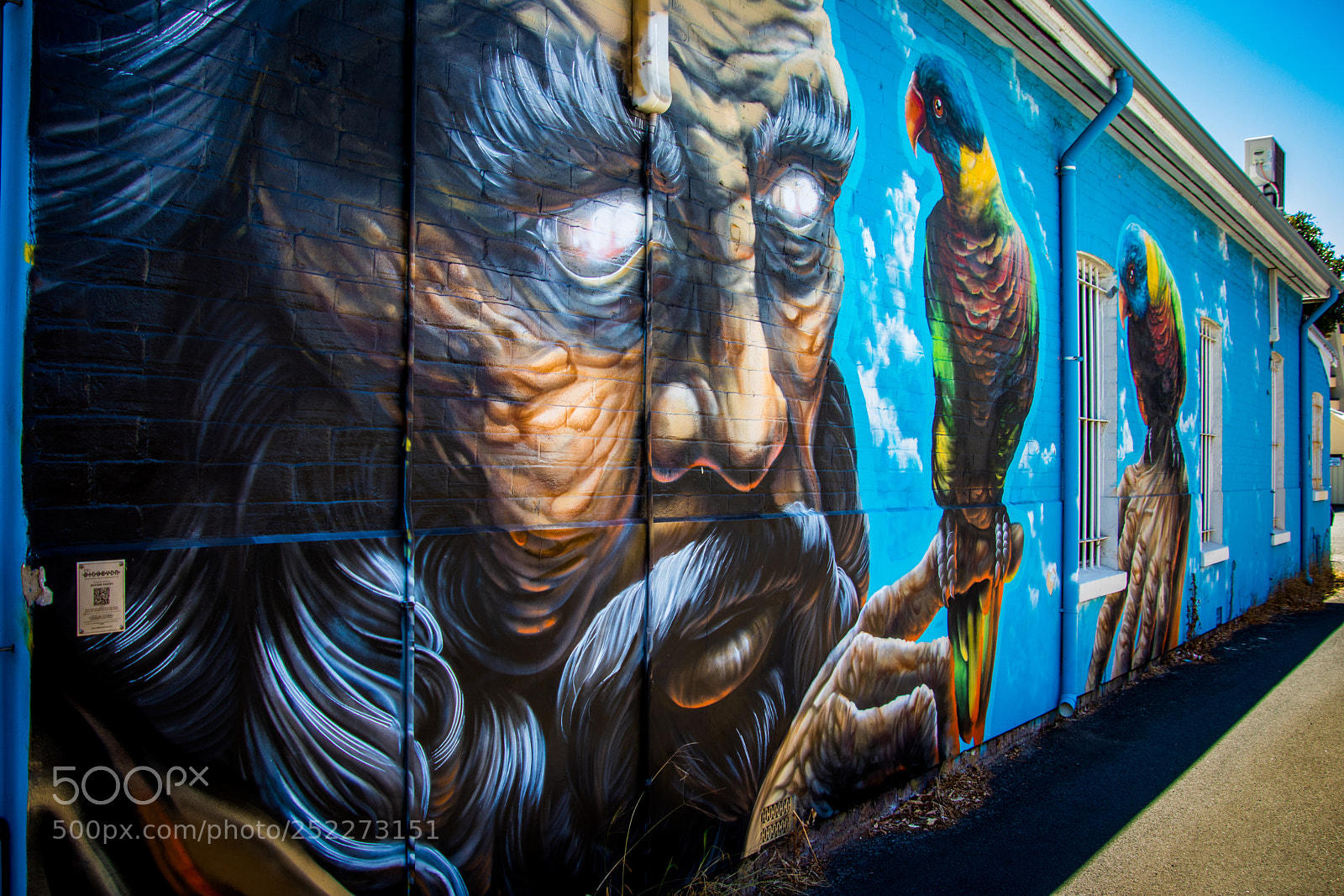 Canon EOS 80D sample photo. The street art of photography