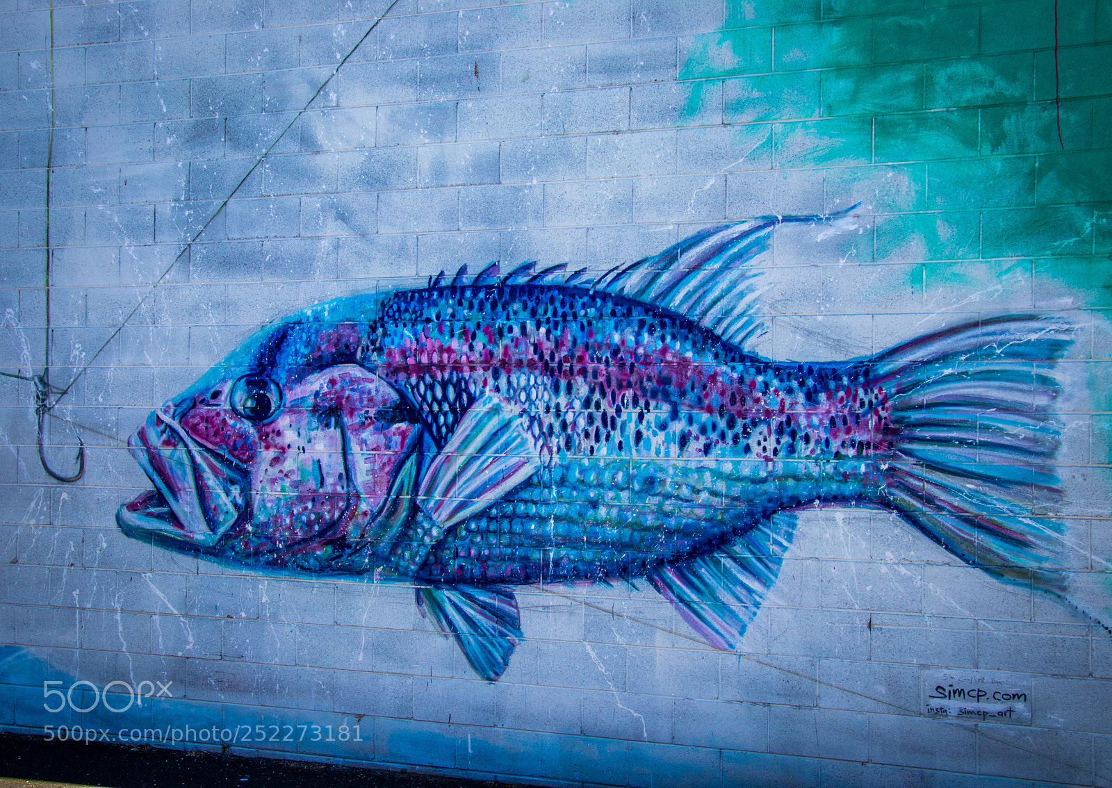 Canon EOS 80D sample photo. The street art of photography