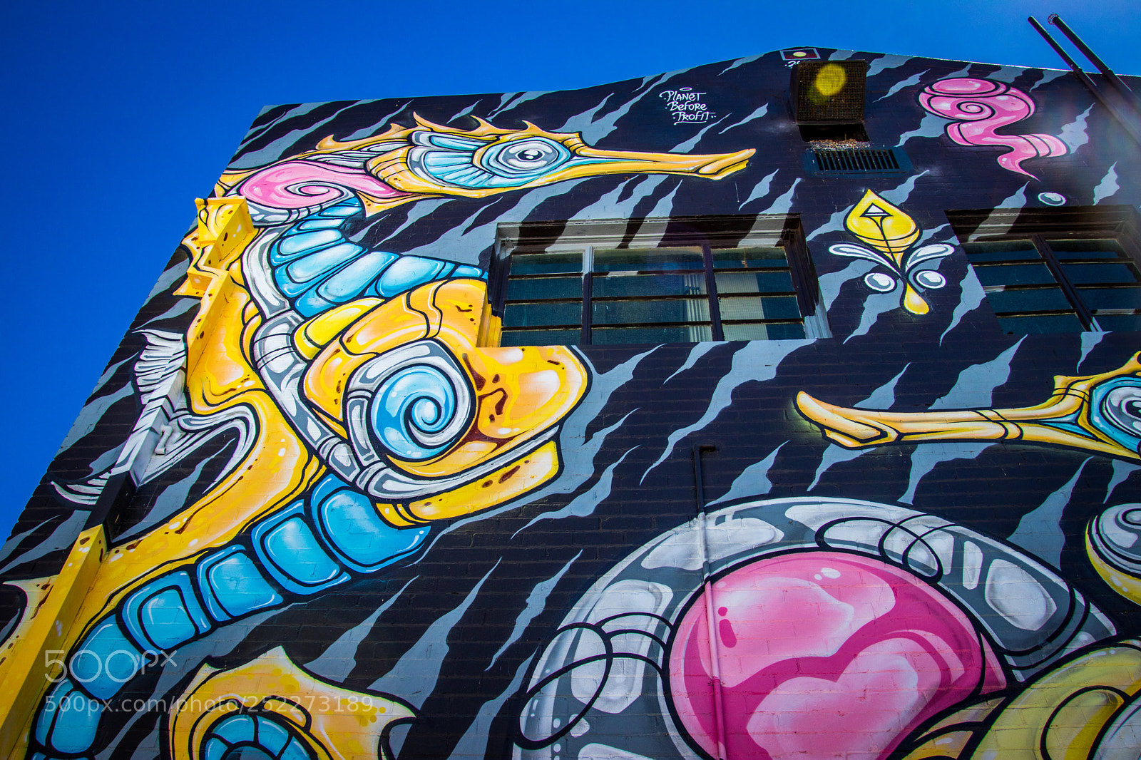 Canon EOS 80D sample photo. The street art of photography