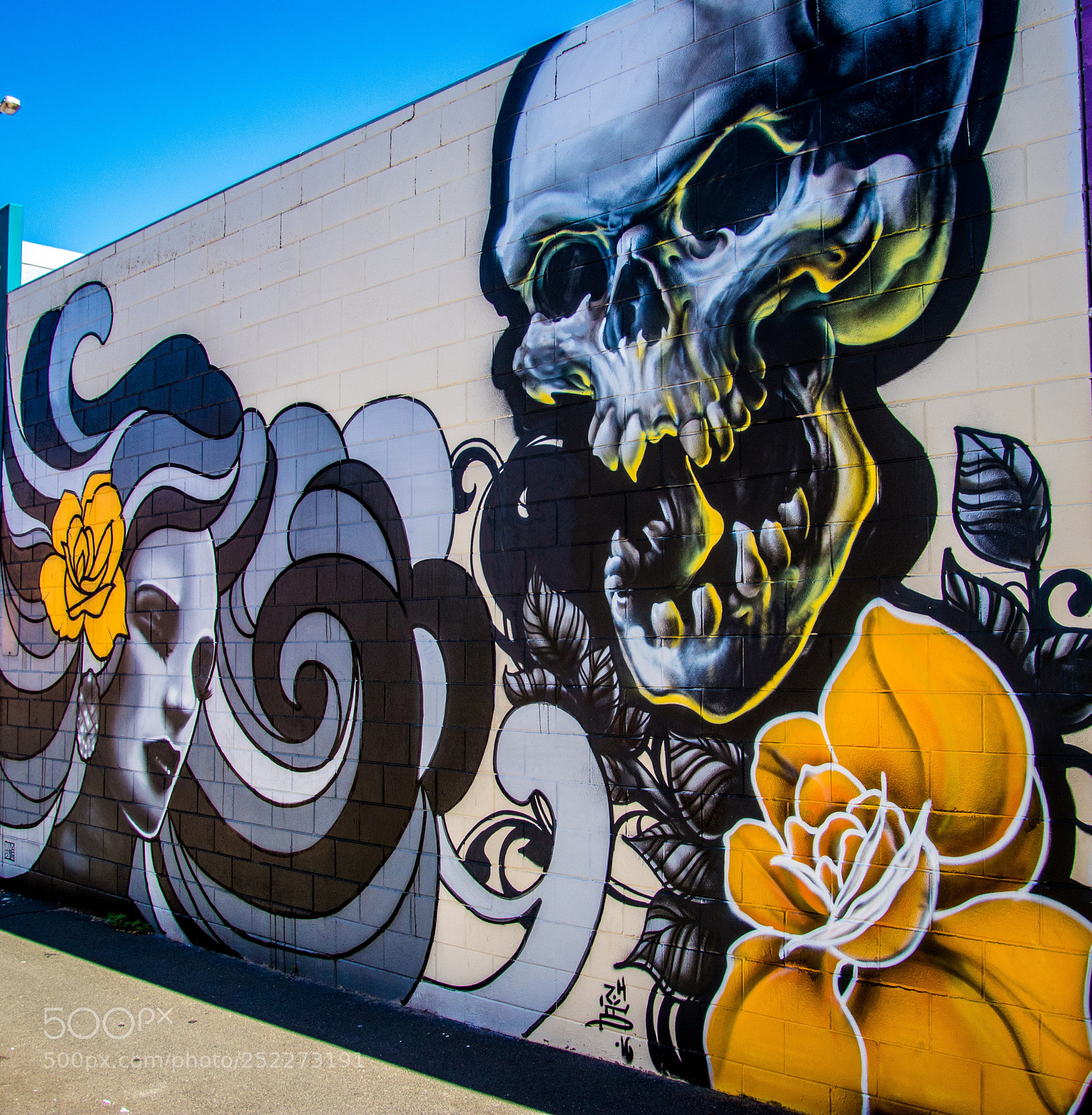 Canon EOS 80D sample photo. The street art of photography