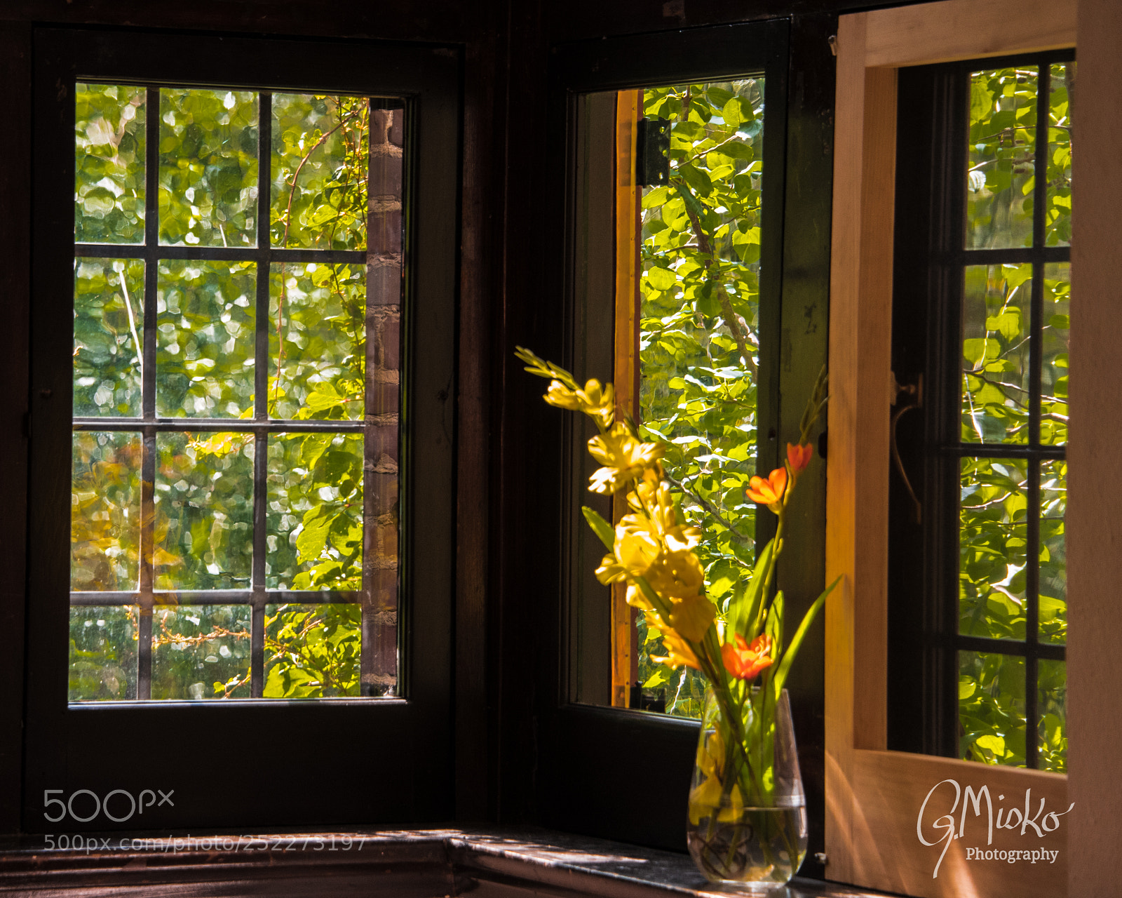 Nikon D750 sample photo. Flowers by the window photography