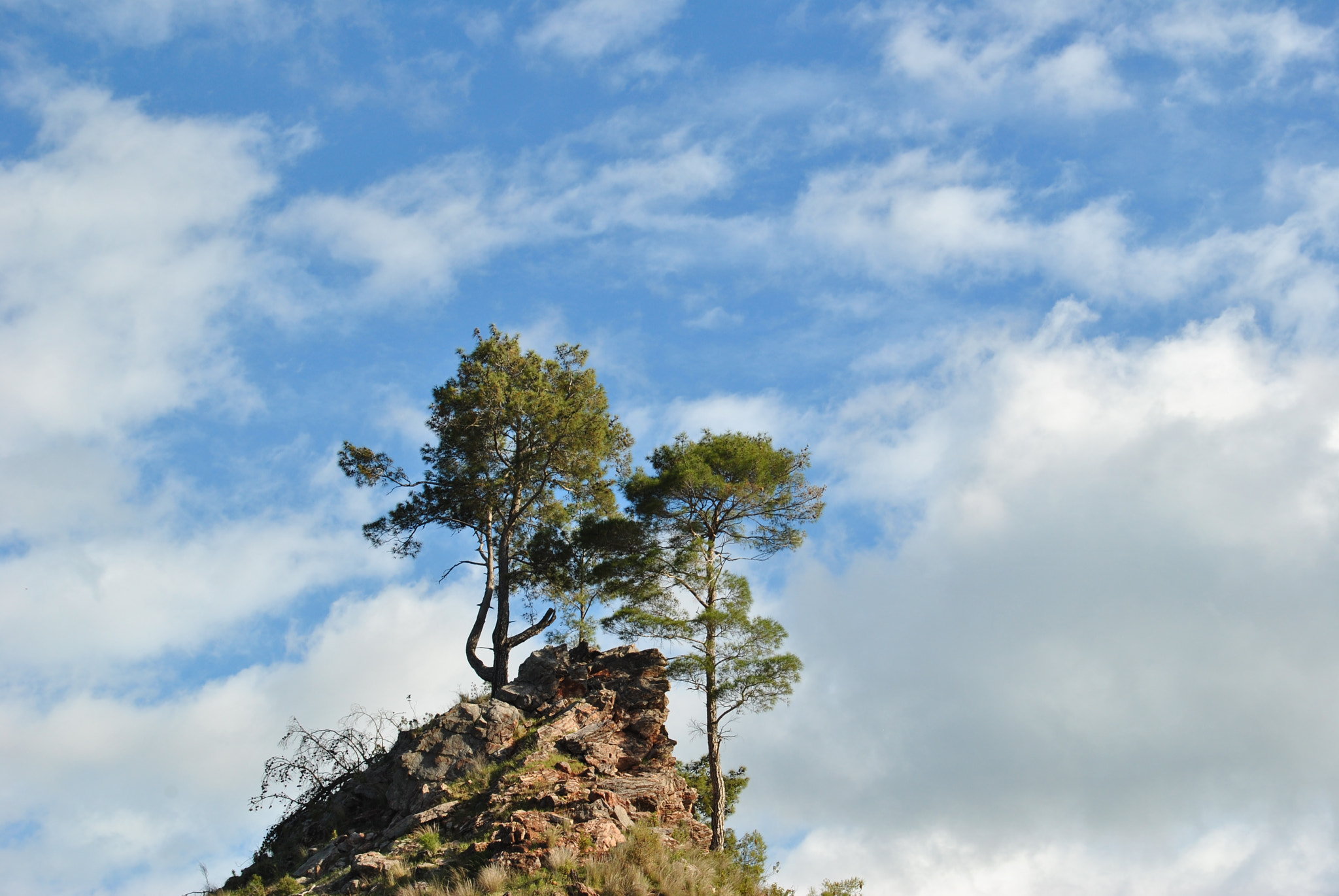 Nikon D3000 sample photo. () photography