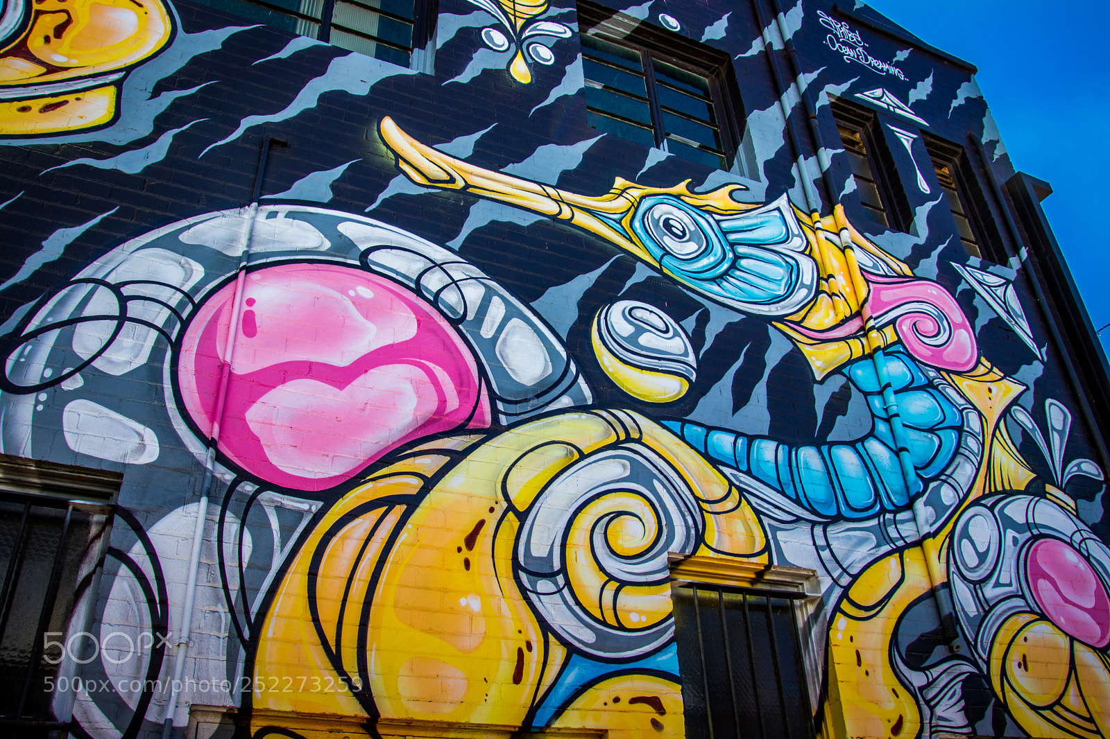 Canon EOS 80D sample photo. The street art of photography