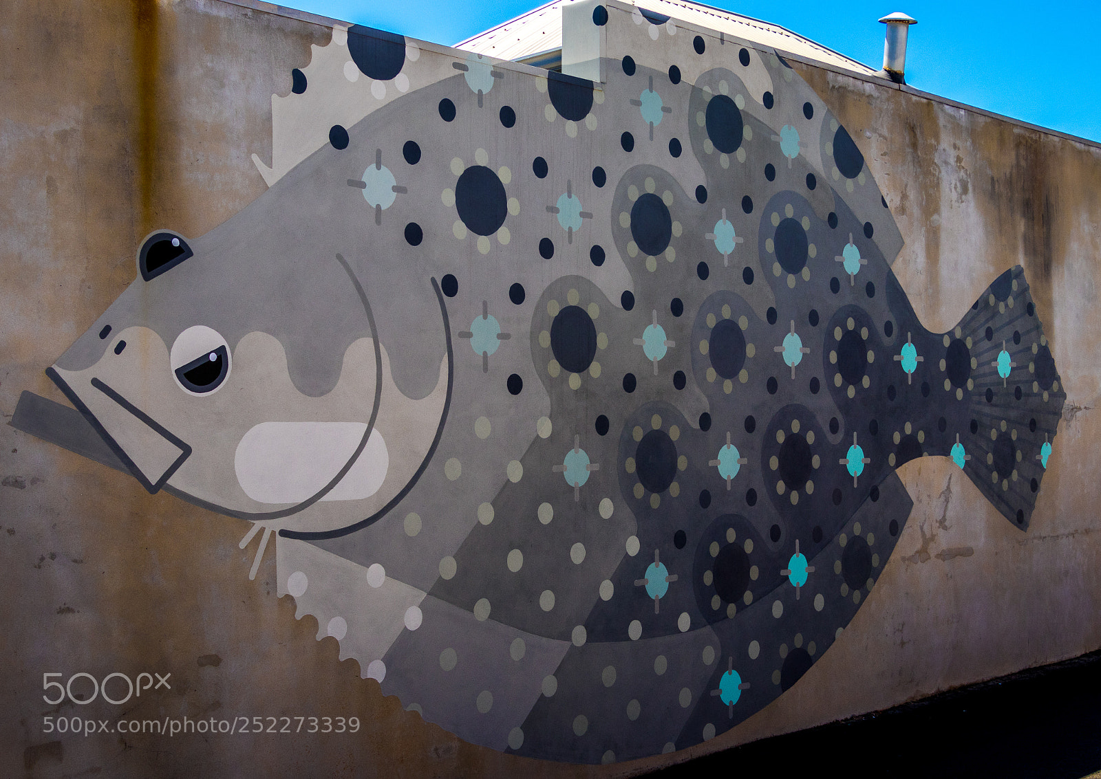 Canon EOS 80D sample photo. The street art of photography