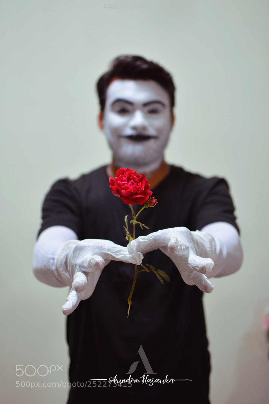 Nikon D5200 sample photo. The rose photography
