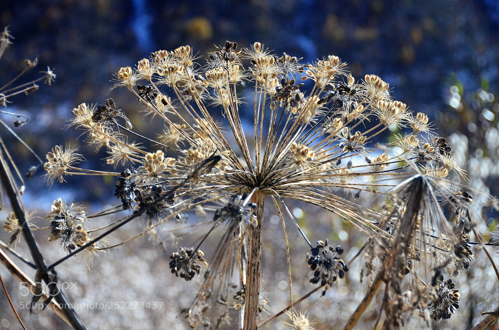 Nikon D5100 sample photo. Untitled photography