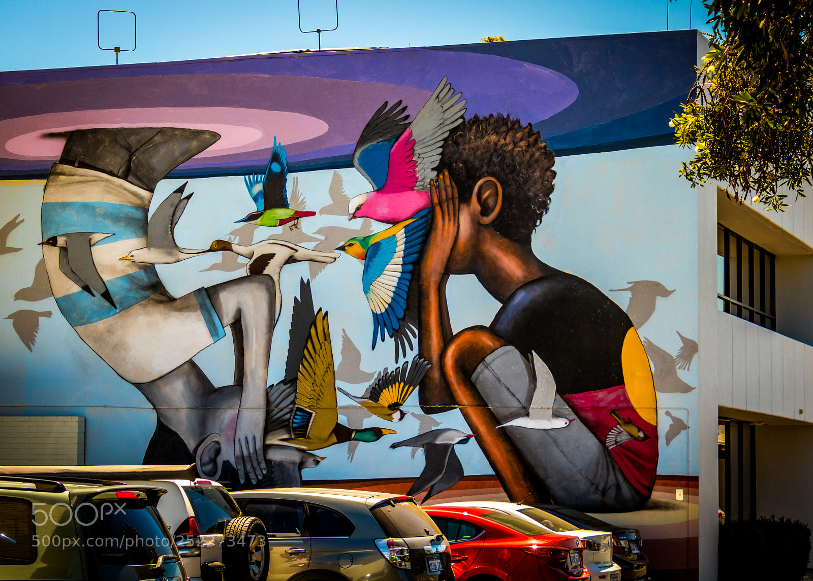 Canon EOS 80D sample photo. The street art of photography