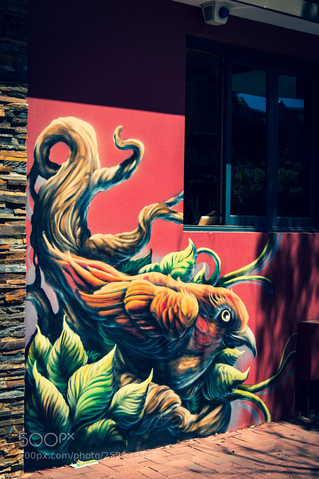 Canon EOS 80D sample photo. The street art of photography