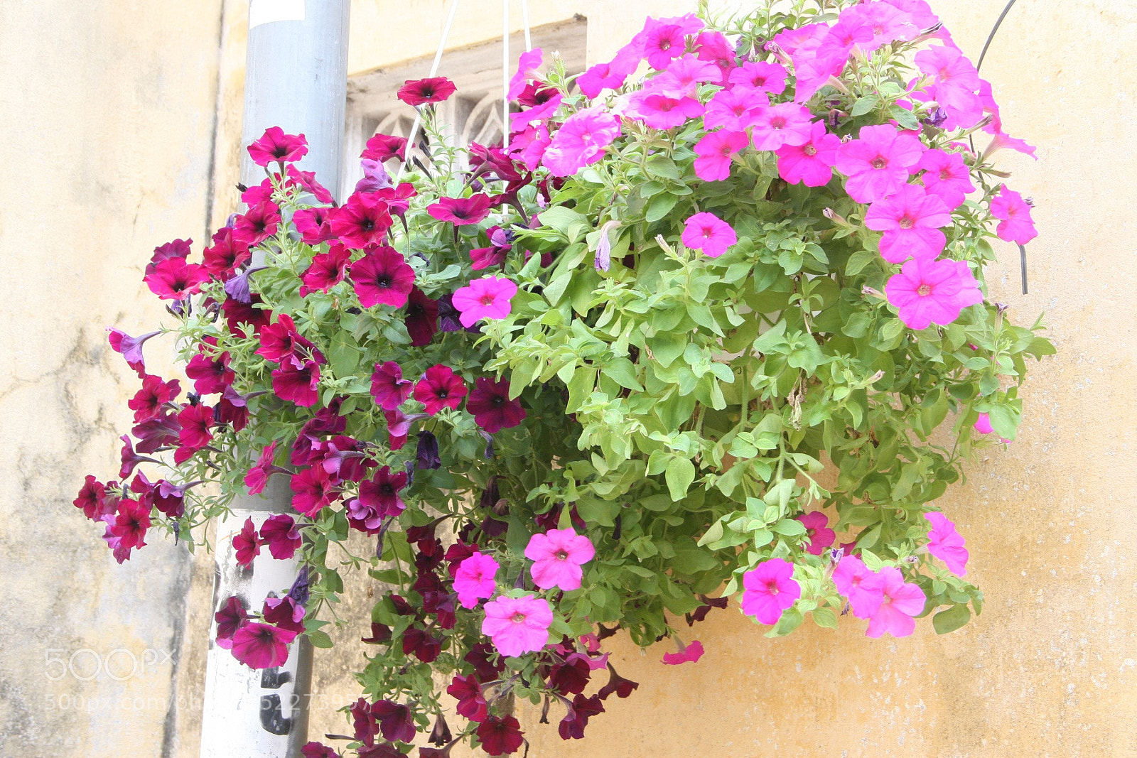 Canon EOS 30D sample photo. Img photography