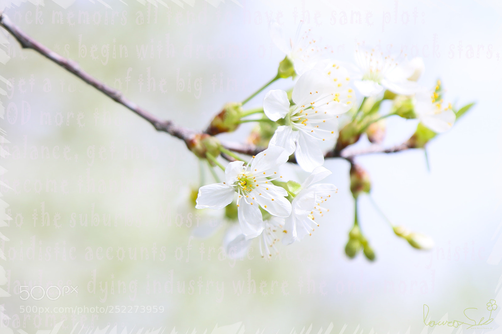 Canon EOS 70D sample photo. ~ pur ~ photography