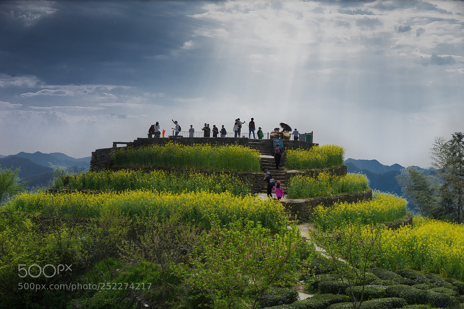 Sony a7 II sample photo. Shitan viewing deck photography