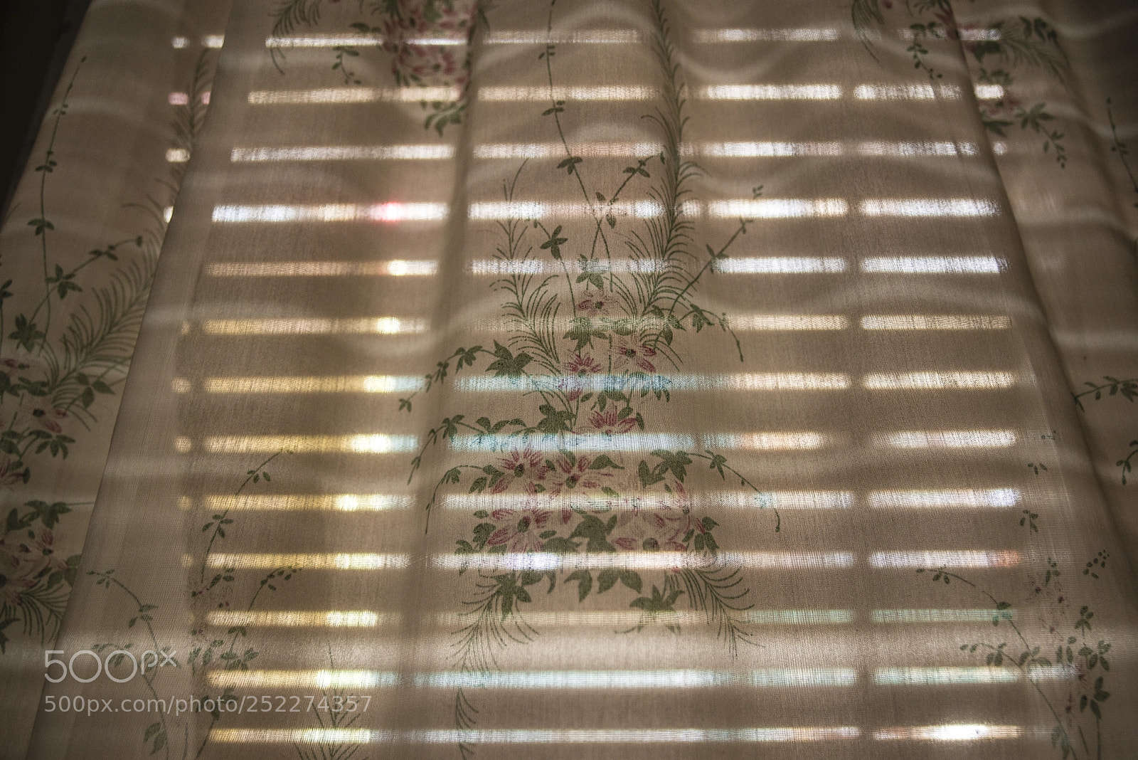 Nikon D800 sample photo. Flowers in the curtain photography