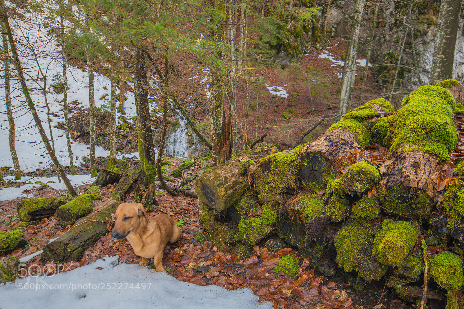 Nikon D850 sample photo. Bruno photography