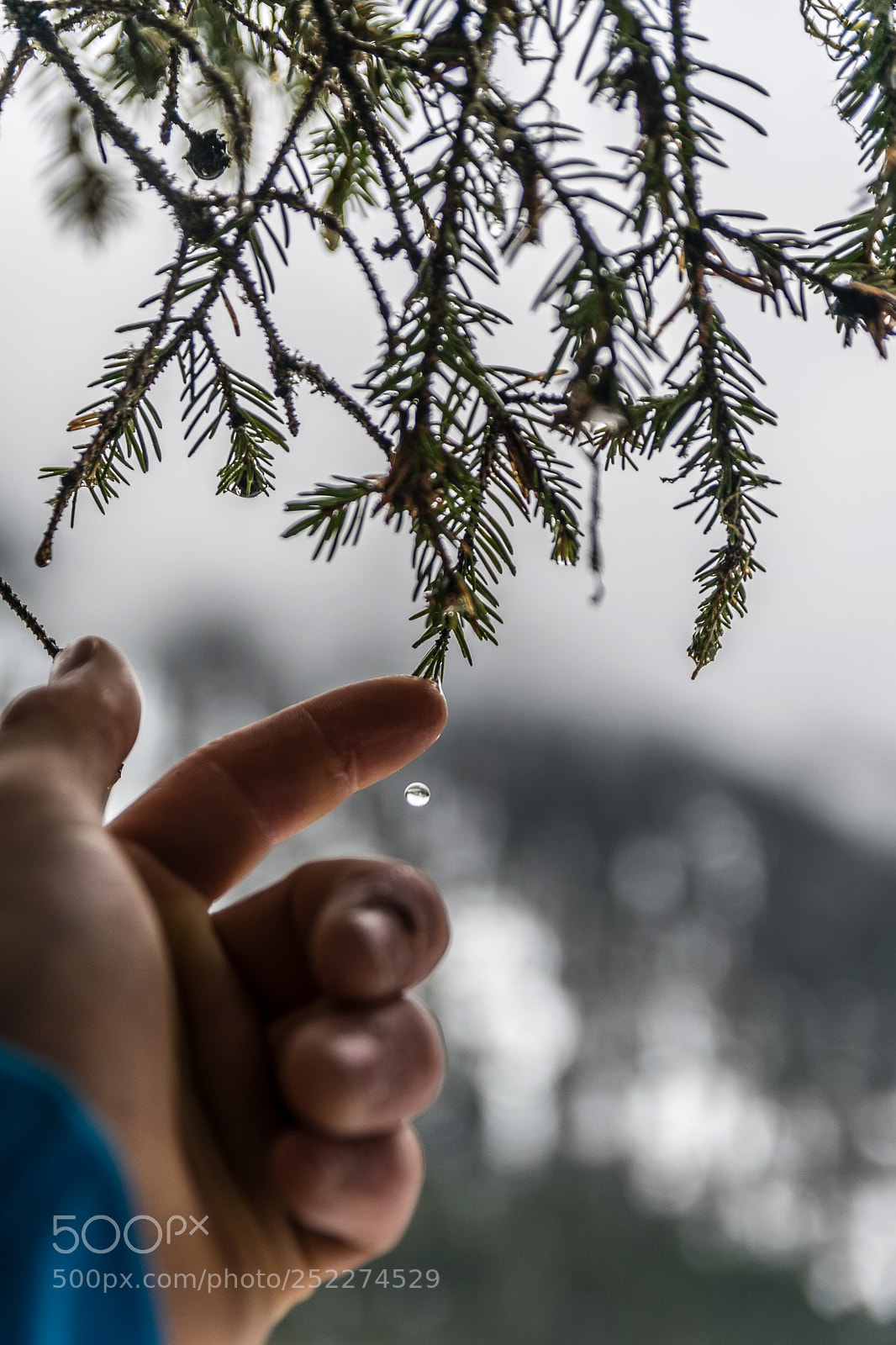 Nikon D3300 sample photo. A winter's tear photography