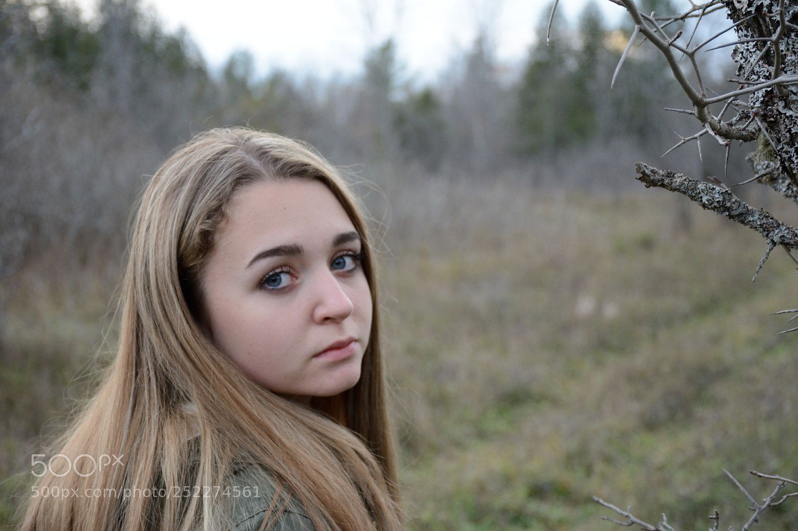 Nikon D7100 sample photo. Hawthorn tree & her photography