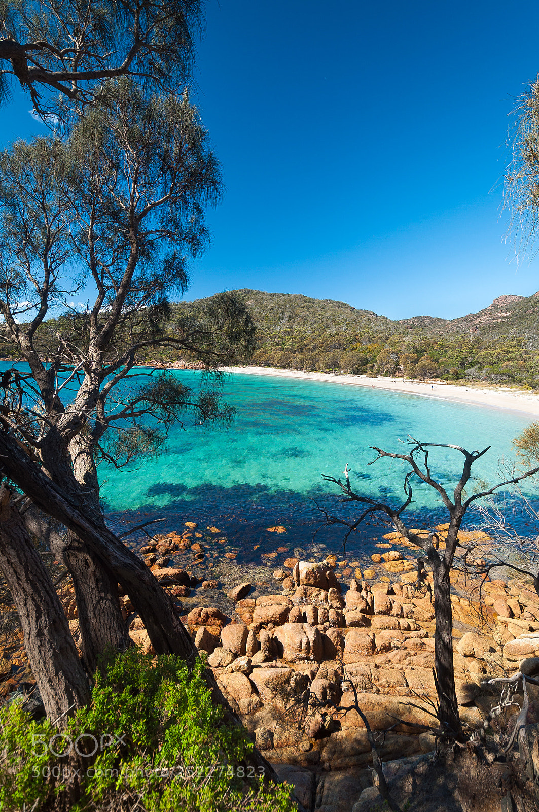 Nikon D5000 sample photo. Crocketts bay | schouten island photography