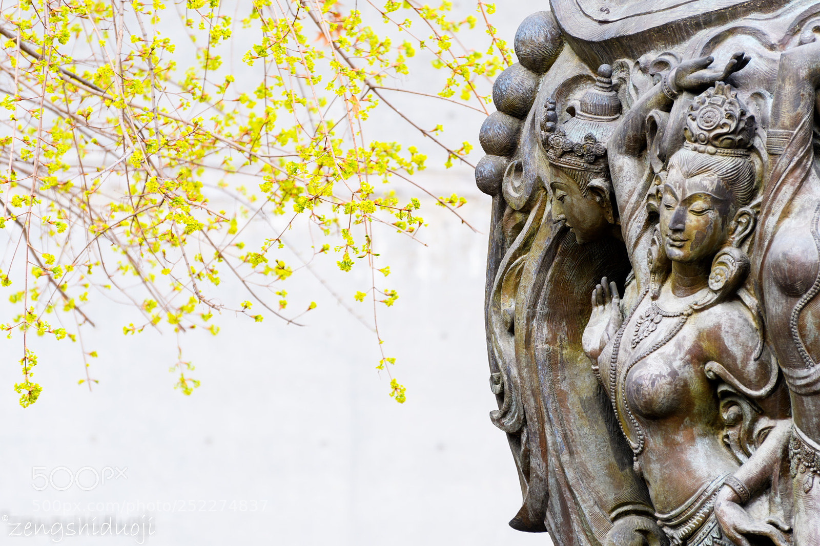 Nikon D500 sample photo. 萌芽 photography