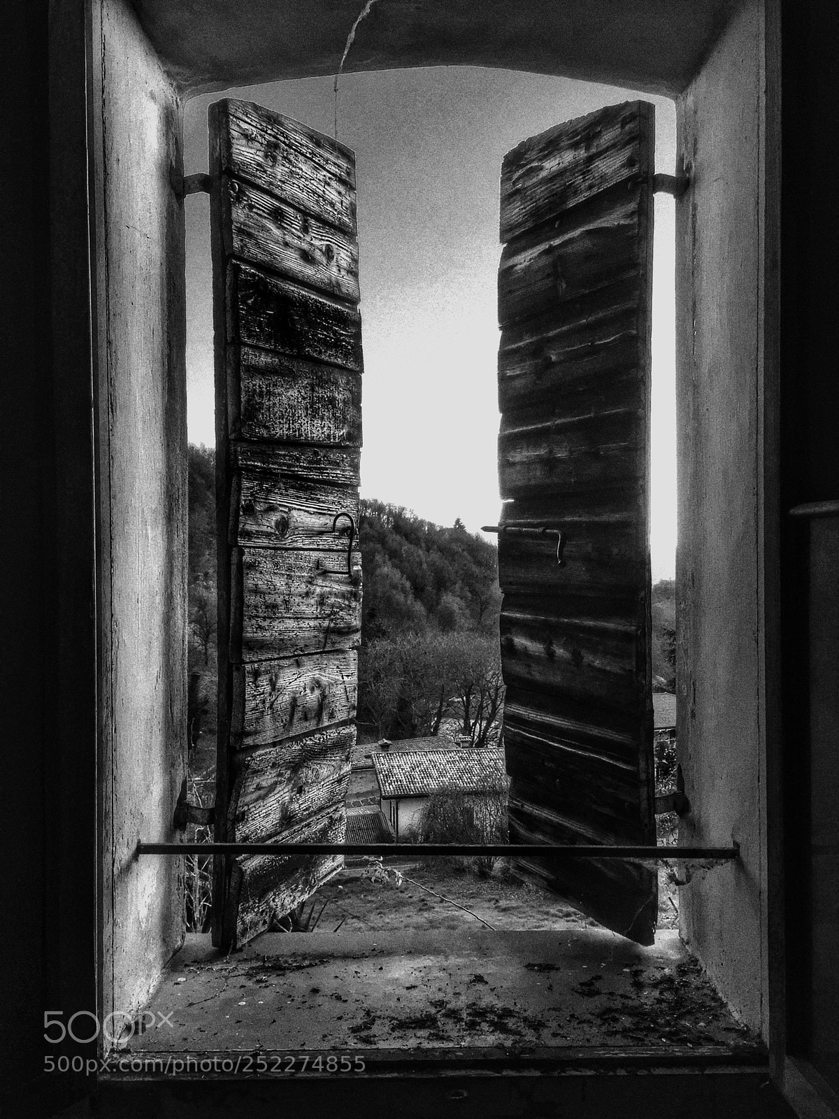 Apple iPhone 6 sample photo. Untitled photography
