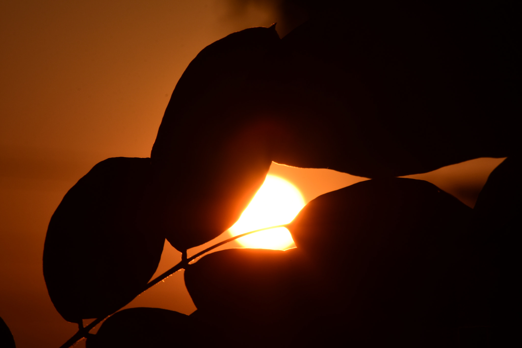 Nikon D7200 sample photo. Gün batımı / sunset photography