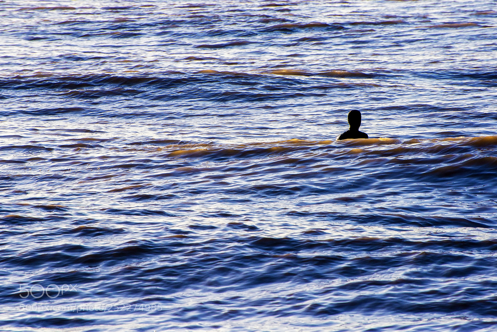 Nikon D600 sample photo. In deep! (1) photography