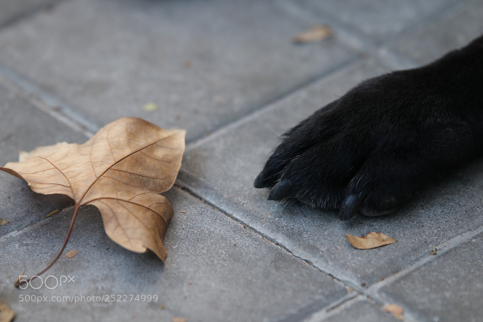Canon EOS 80D sample photo. Untitled photography